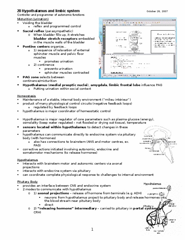 PSL300H1 Lecture Notes - Hypothalamus thumbnail