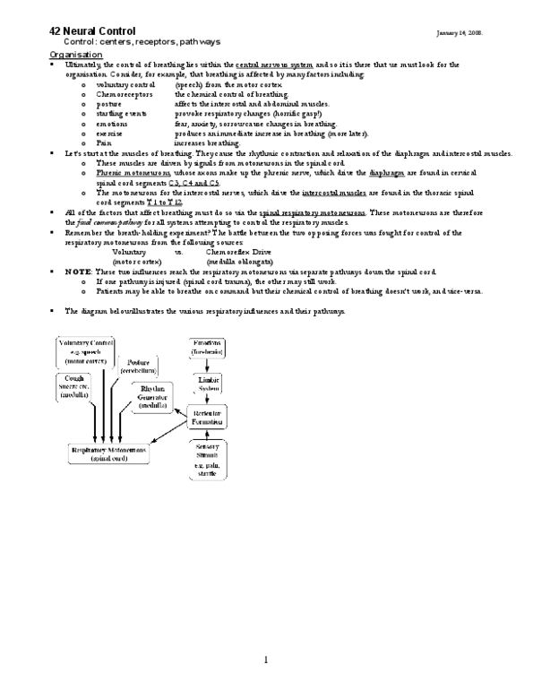 PSL301H1 Lecture Notes - Obex thumbnail