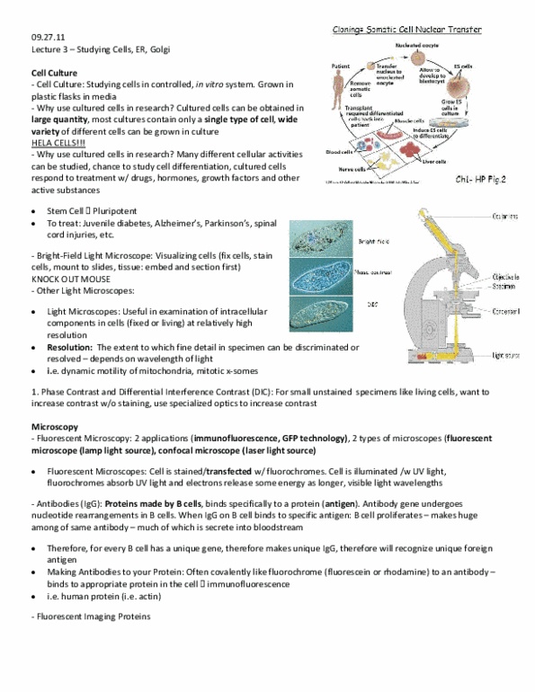 BIOB10H3 Lecture Notes - Glycoprotein, List Of Bluetooth Profiles, Secretion thumbnail