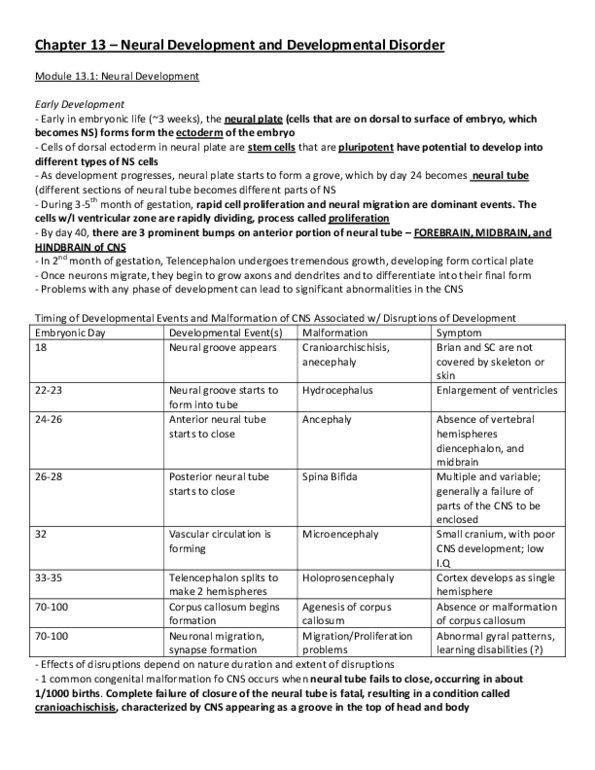 PSYB65H3 Chapter 13: Chapter 13 - Neural Development and Developmental Disorder thumbnail