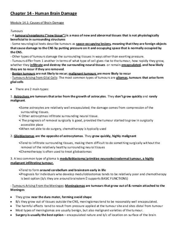 PSYB65H3 Chapter Notes - Chapter 14: Trisomy, Perinatal Asphyxia, Visual Cortex thumbnail