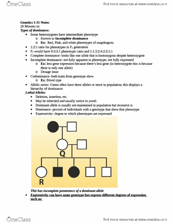 document preview image