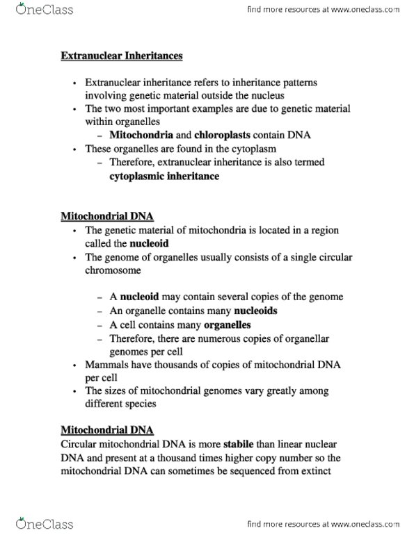 document preview image