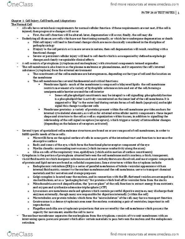 PATH 3610 Chapter : PATH-3610 Text Notes.pdf thumbnail