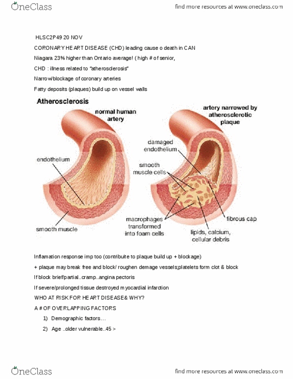 document preview image