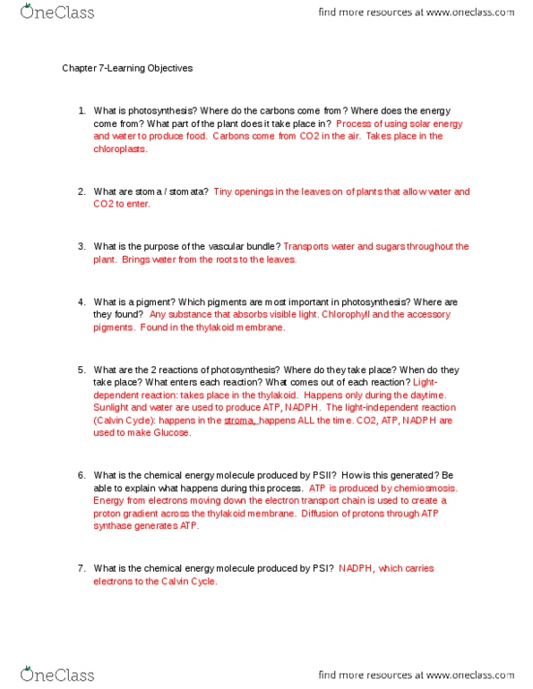 BIOL 1001 Chapter Notes - Chapter 7: Accessory Pigment, Vascular Bundle, Thylakoid thumbnail