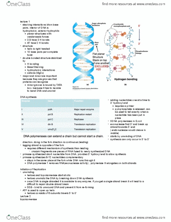 document preview image