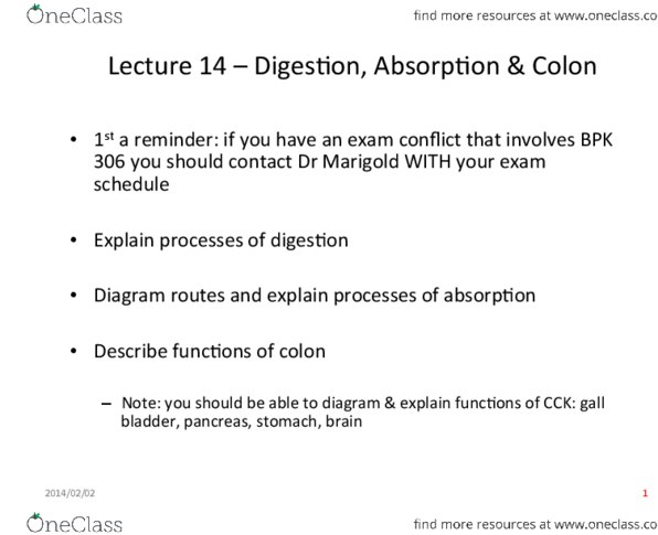 APMA 912 Lecture Notes - Lecture 14: Gallbladder, Lacteal, Enterocyte thumbnail
