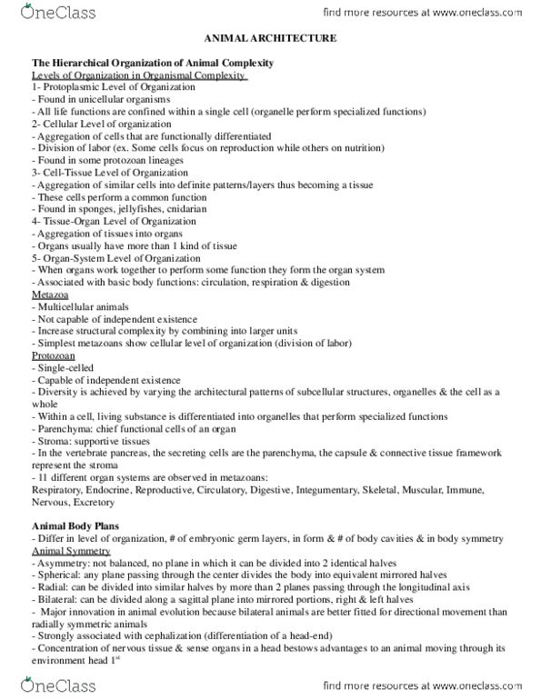 BIOL 2030 Chapter Notes - Chapter 3: Symmetry In Biology, Coelom, Small Cell thumbnail