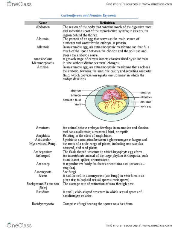 BIO 1130 Lecture 4: Carboniferous and Permian Keywords.docx thumbnail