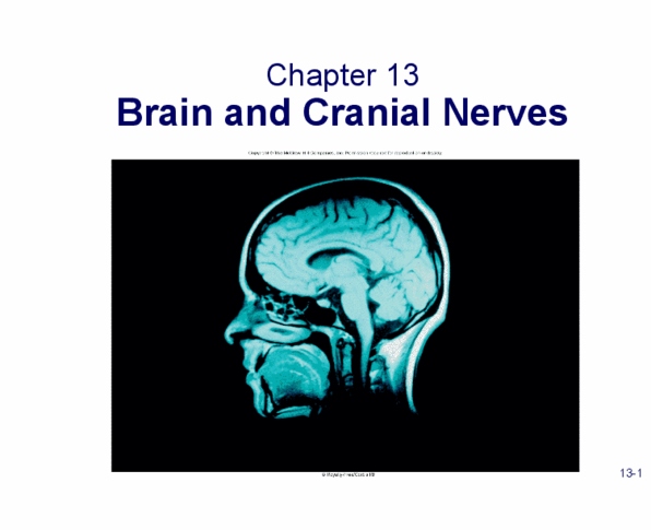 KINESIOL 1A03 Lecture Notes - Lecture 6: Flocculonodular Lobe, Medulla Oblongata, Cranial Cavity thumbnail