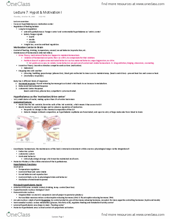 NROC61H3 Lecture Notes - Lecture 7: Thyrotropin-Releasing Hormone, Ventromedial Nucleus Of The Hypothalamus, Posterior Pituitary thumbnail