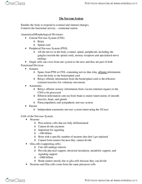 Anatomy and Cell Biology 3309 Lecture Notes - Lecture 11: Lysosome, Luxol Fast Blue Stain, Microglia thumbnail