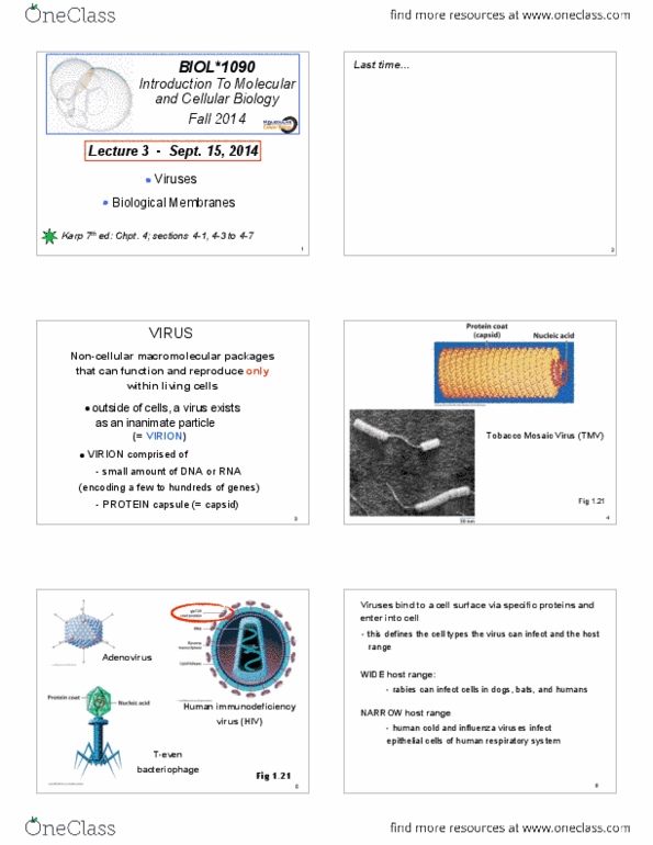 BIOL 1090 Lecture Notes - Lecture 3: Listeria Monocytogenes, Signal Transduction, Oligosaccharide thumbnail