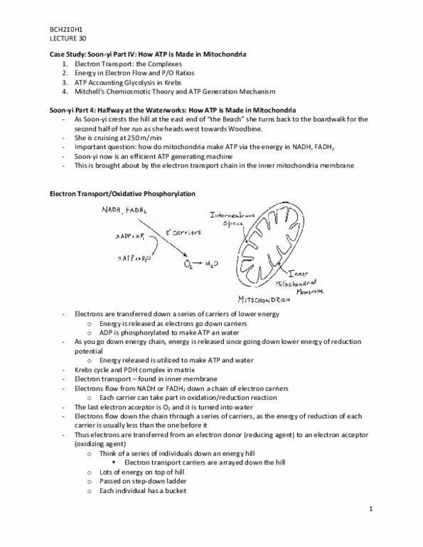 BCH210H1 Lecture : lec30 soon-yi part 4 ETC and ATP counting thumbnail