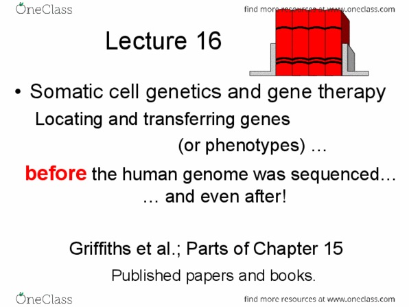 BIOL 202 Lecture Notes - Lecture 16: Somatic Cell, Bachelor Of Architecture, Horizontal Gene Transfer thumbnail