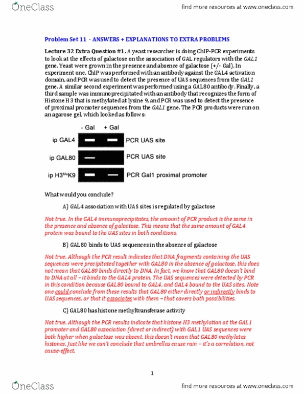 BIOL 202 Chapter Notes -Histone H3, Galactose, Lactase thumbnail