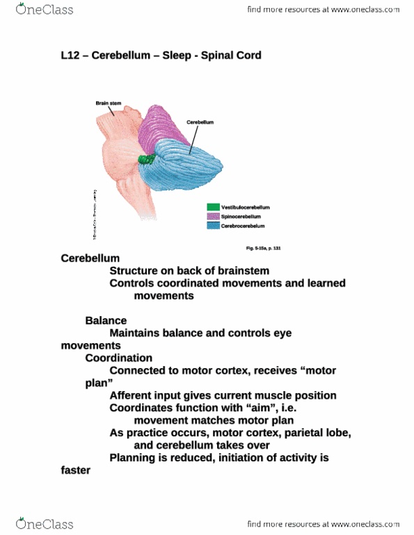 document preview image