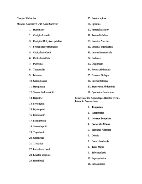 ANATA 215 Anatomy Lab Exam Two Material OneClass