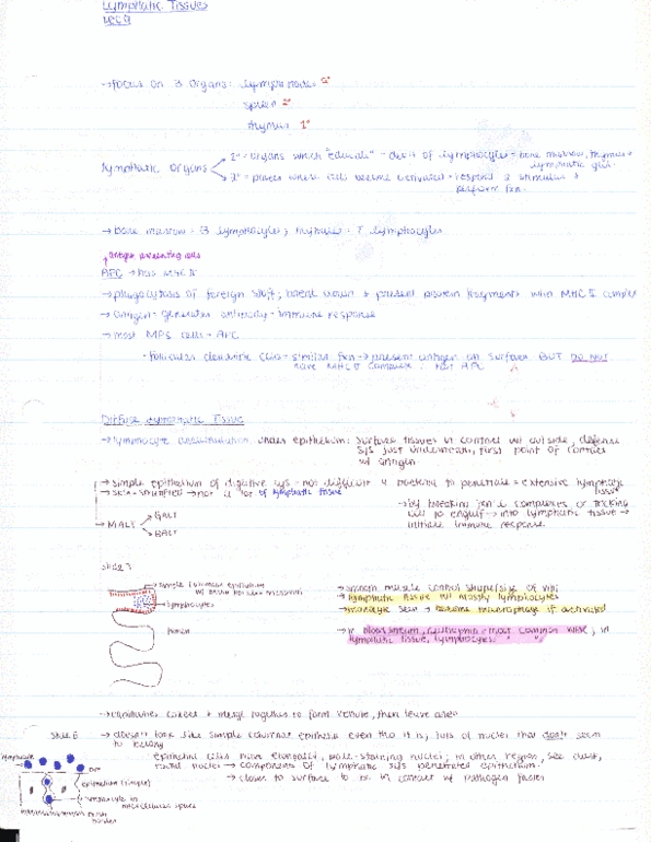 BIOC21H3 Lecture Notes - Fax, Electronvolt, Ell thumbnail
