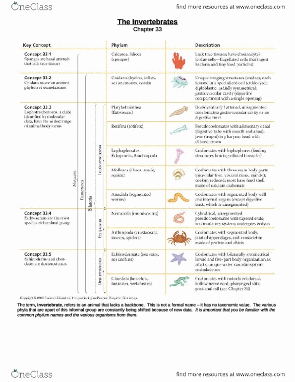 BIOL 1510 : The Invertebrates and Vertebrates - OneClass