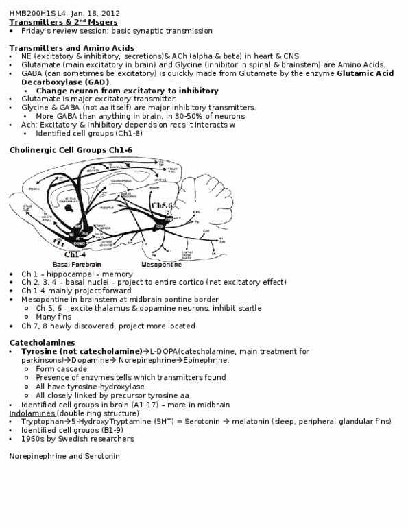 HMB200H1 Lecture Notes - Lecture 4: Neurotransmitter, Basal Ganglia, Cerebellum thumbnail