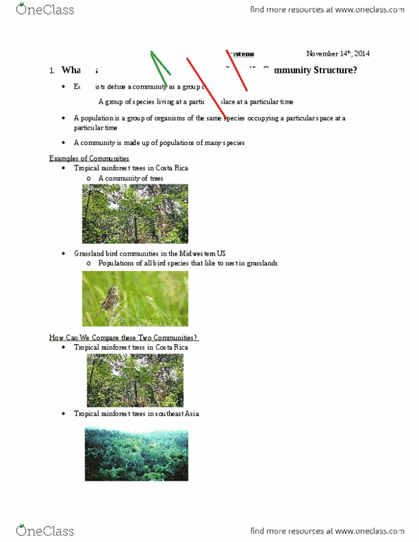 BIOL 2060 Lecture Notes - Lecture 5: Anaphalis, Riven, Caddisfly thumbnail