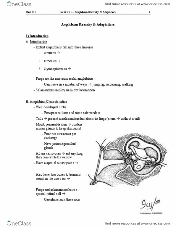 BIOL211 Lecture Notes - Lecture 11: Oviparity, Hellbender, Parotid Gland thumbnail