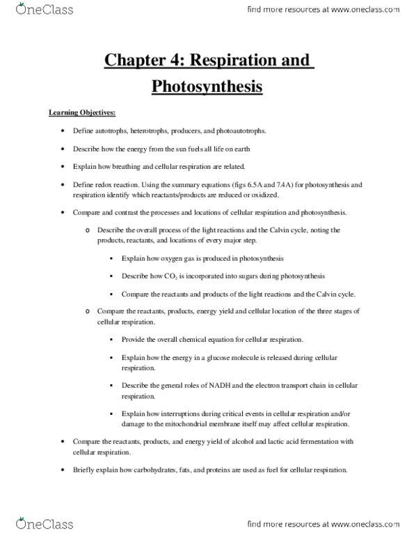 BIOL 1500 Chapter 4: Chapter 4 - Respiration and Photosynthesis.docx thumbnail