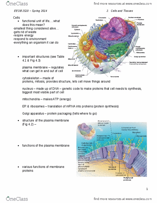 document preview image