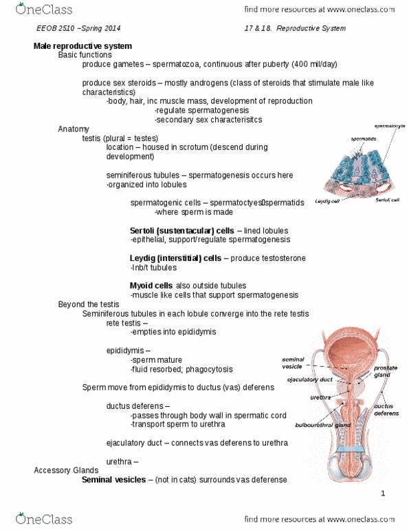 document preview image