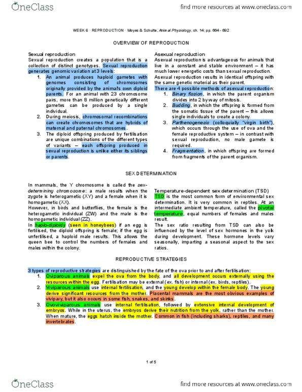 BIO270H1 Lecture Notes - Lecture 6: Seminiferous Tubule, Yolk Sac, Sertoli Cell thumbnail