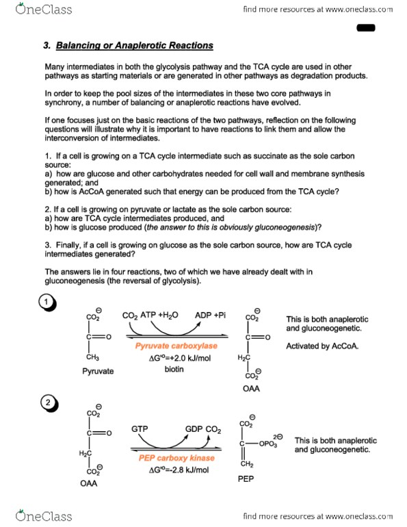 document preview image