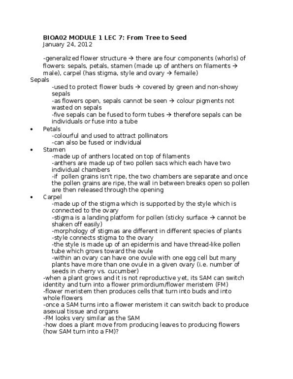 BIOA02H3 Lecture : From Tree to Seed thumbnail