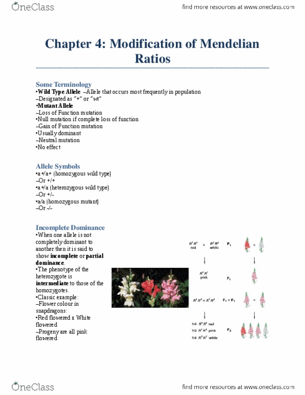 BI226 Chapter Notes - Chapter 4: Hh Blood Group, Lethal Allele, Epistasis thumbnail