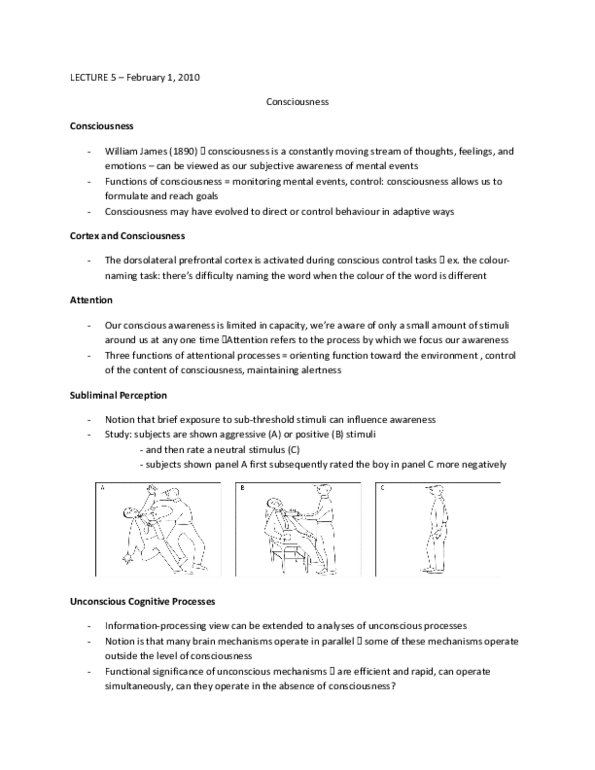 PSY100H1 Lecture Notes - Prefrontal Cortex, Hindbrain, Reticular Formation thumbnail