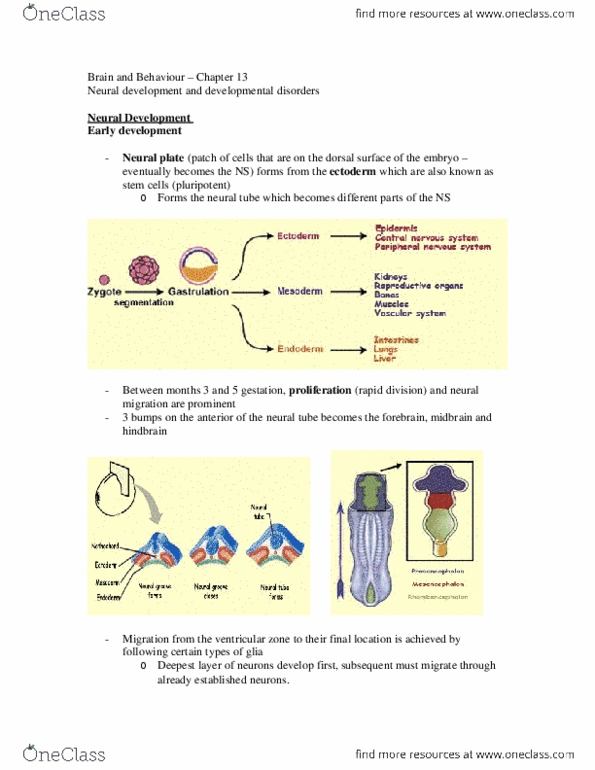 document preview image