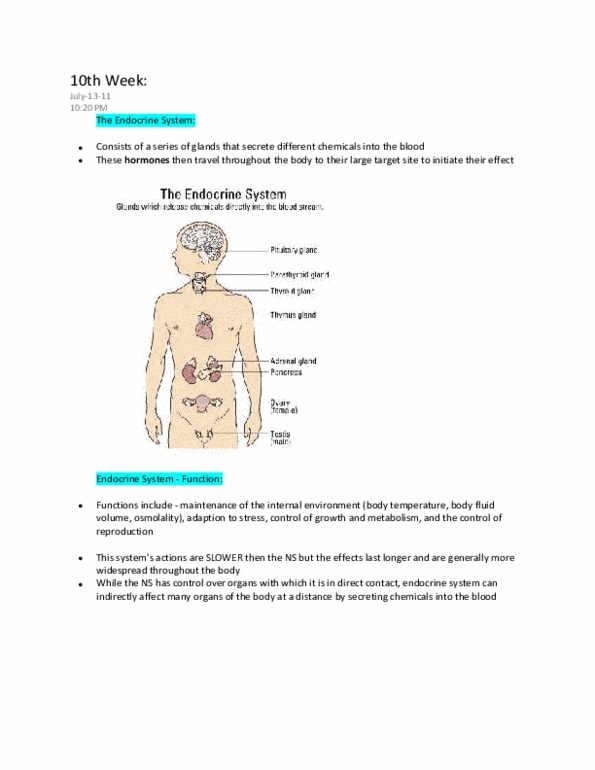 Physiology 1021 Lecture Notes - Endocrine Gland, Releasing And Inhibiting Hormones, Codocyte thumbnail