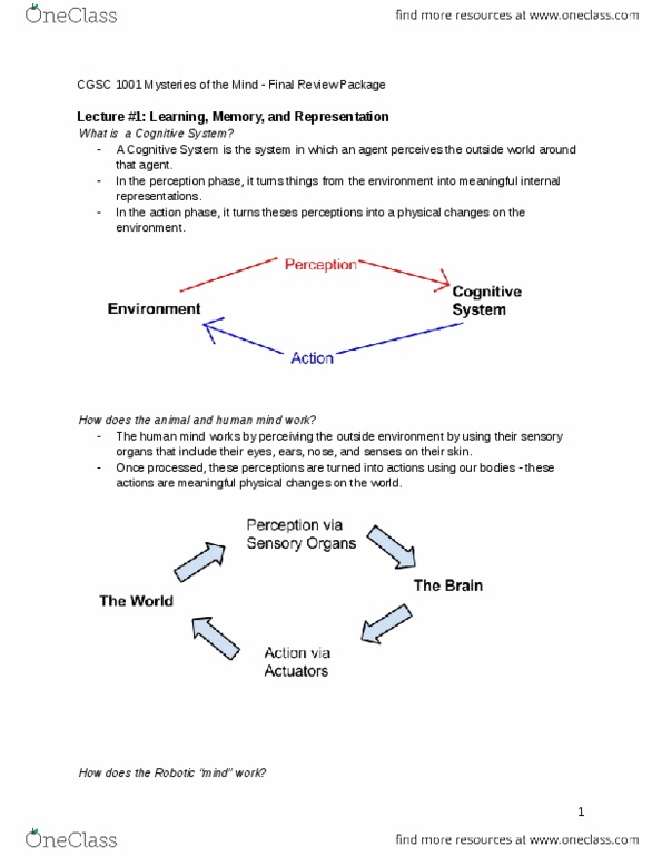 Cgsc 1001 Final Cgsc1001mysteriesofthemind Finalreviewnotes Docx Cgsc 1001 Final Cgsc1001mysteriesofthemind Finalreviewnotes Docx