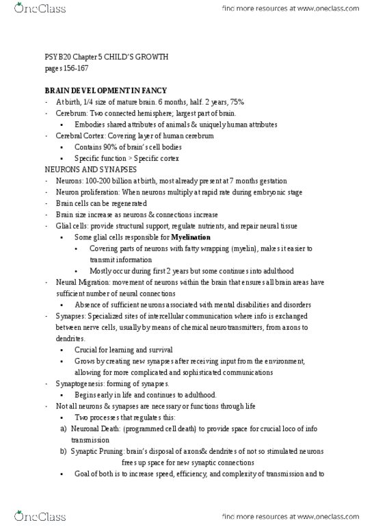 PSY100H1 Chapter Notes - Chapter 5: Neuroglia, Brain Size, Myelin thumbnail