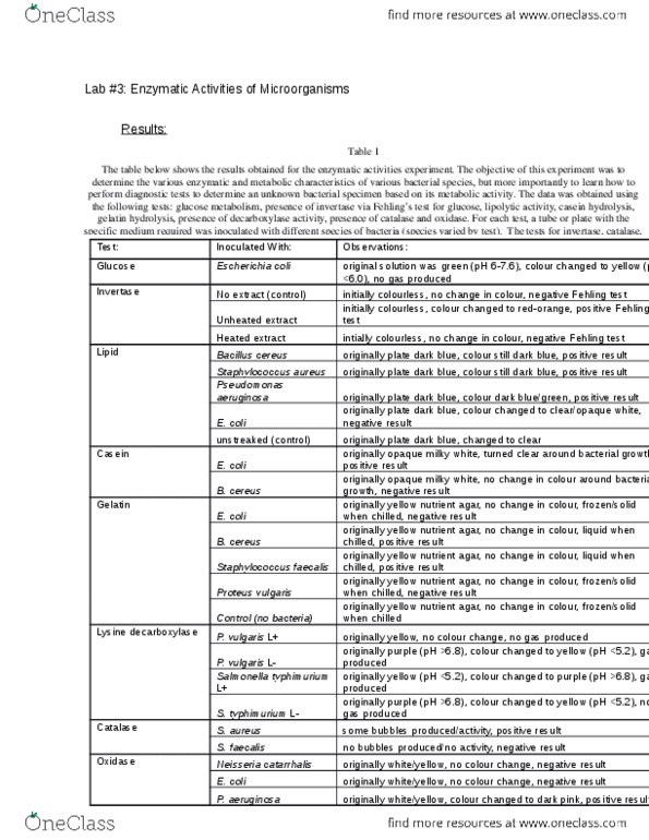 BIO370Y5 Chapter Notes -Bacillus Cereus, Invertase, Statistical Hypothesis Testing thumbnail