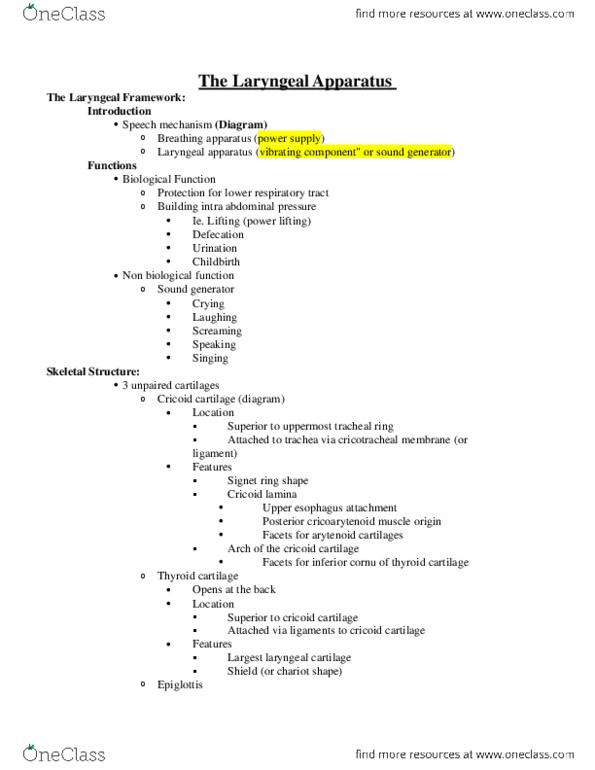 LING 2P90 Lecture Notes - Lecture 6: Inferior Pharyngeal Constrictor Muscle, Trachea, Pivot Joint thumbnail