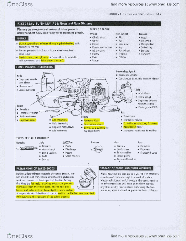 FSC 211 Chapter Notes -Maillard Reaction, Starch, Quick Bread thumbnail