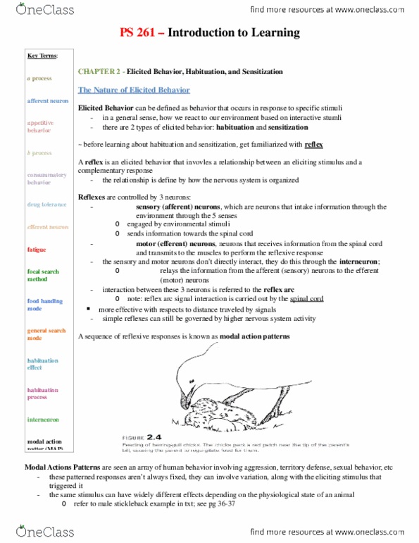 PS261 Lecture Notes - Lecture 2: Drug Tolerance, Afferent Nerve Fiber, Sensory Neuron thumbnail