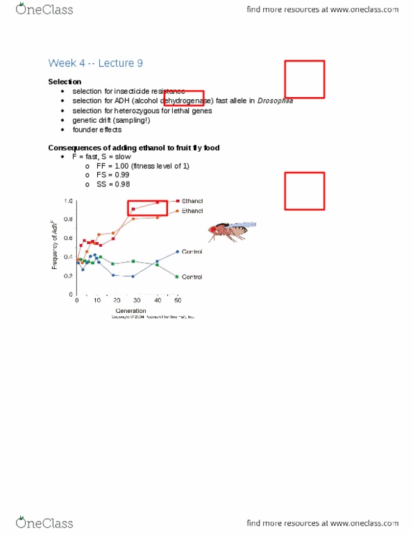 BIOL 2400 Lecture Notes - Lecture 9: Dunne D.8, Lethal Allele, Pesticide thumbnail