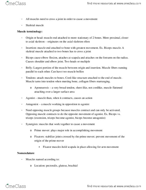 document preview image