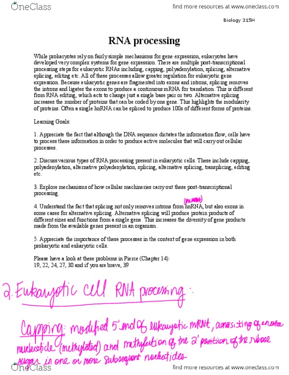 BIO 315H Chapter : LO Lecture 24-RNA processing (2).pdf thumbnail