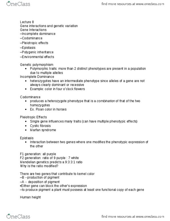 BIO152H5 Lecture Notes - Lecture 8: Y Chromosome, Quantitative Trait Locus, Zygosity thumbnail