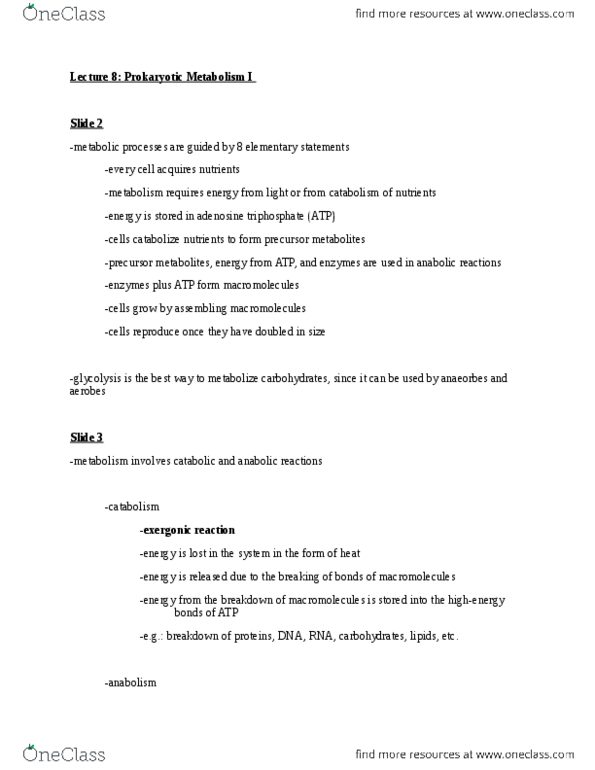 BIO 3124 Lecture Notes - Lecture 8: Pentose, Pyruvic Acid, Flavin Mononucleotide thumbnail