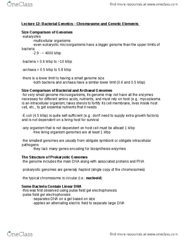 BIO 3124 Lecture Notes - Lecture 12: Escherichia Coli, Insertion Sequence, Streptomycin thumbnail